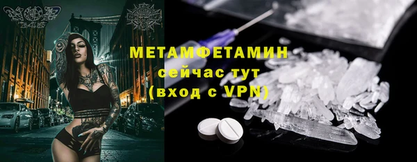 прущие грибы Беломорск
