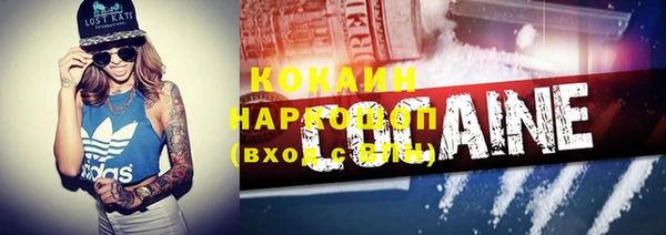 шишки Балахна