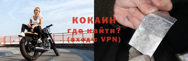 шишки Балахна