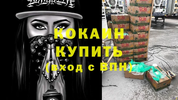 шишки Балахна