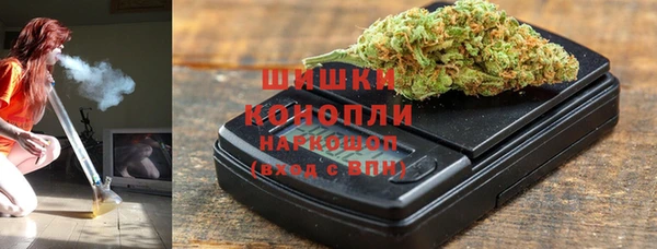 прущие грибы Беломорск